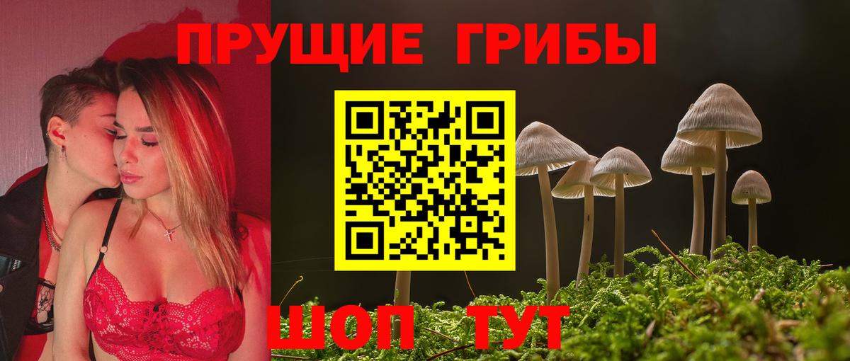 Зеленогорск  Псилоцибиновые грибы MAGIC MUSHROOMS  Вход с VPN 